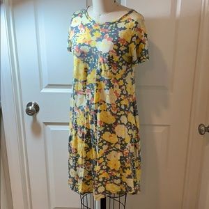 LuLaROE Carly Dress Woman’s Size XXS